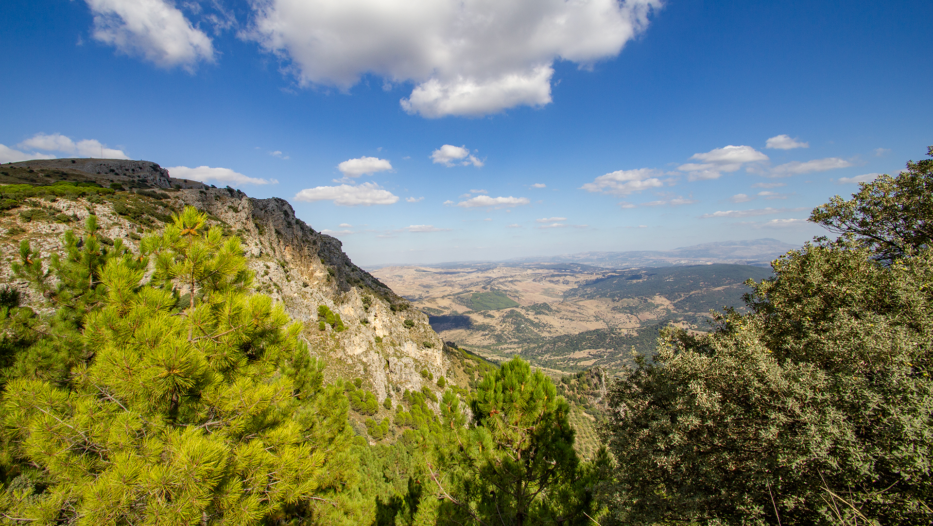 Berglandschaft der Sierra de Grazalema