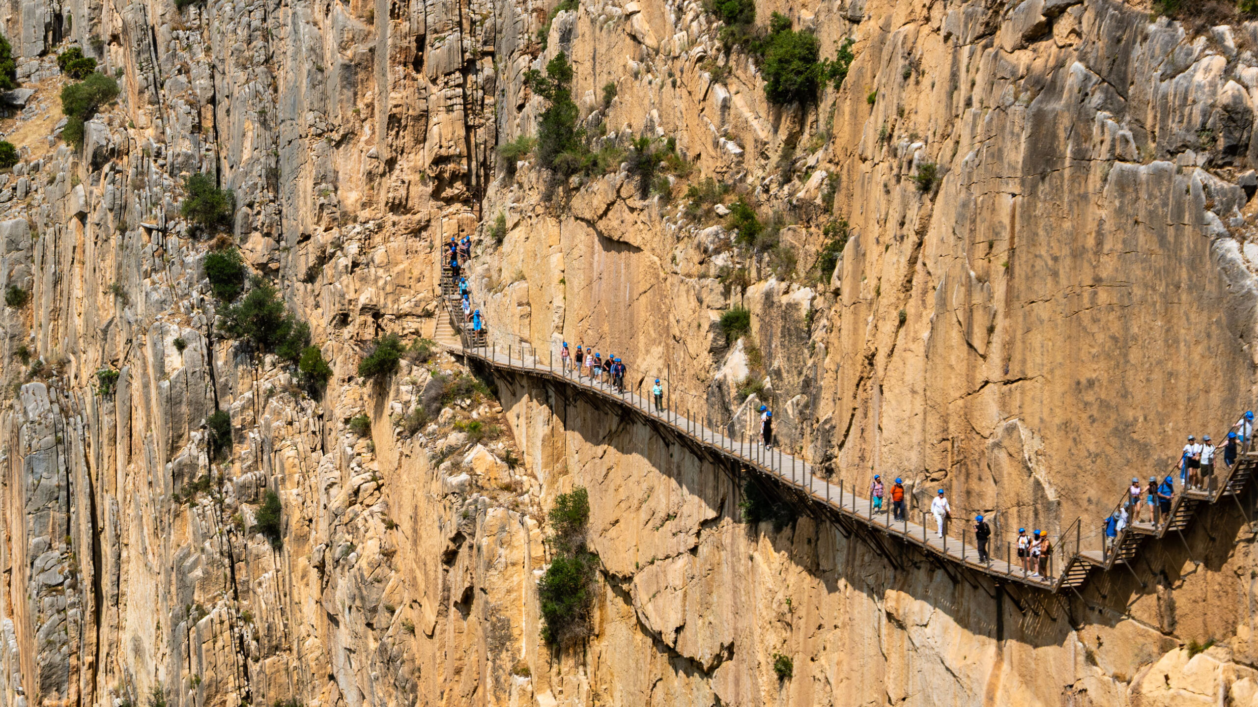Senkrechte Felswand am Caminito del Rey mit Holzstegen – das Markenzeichen der Route