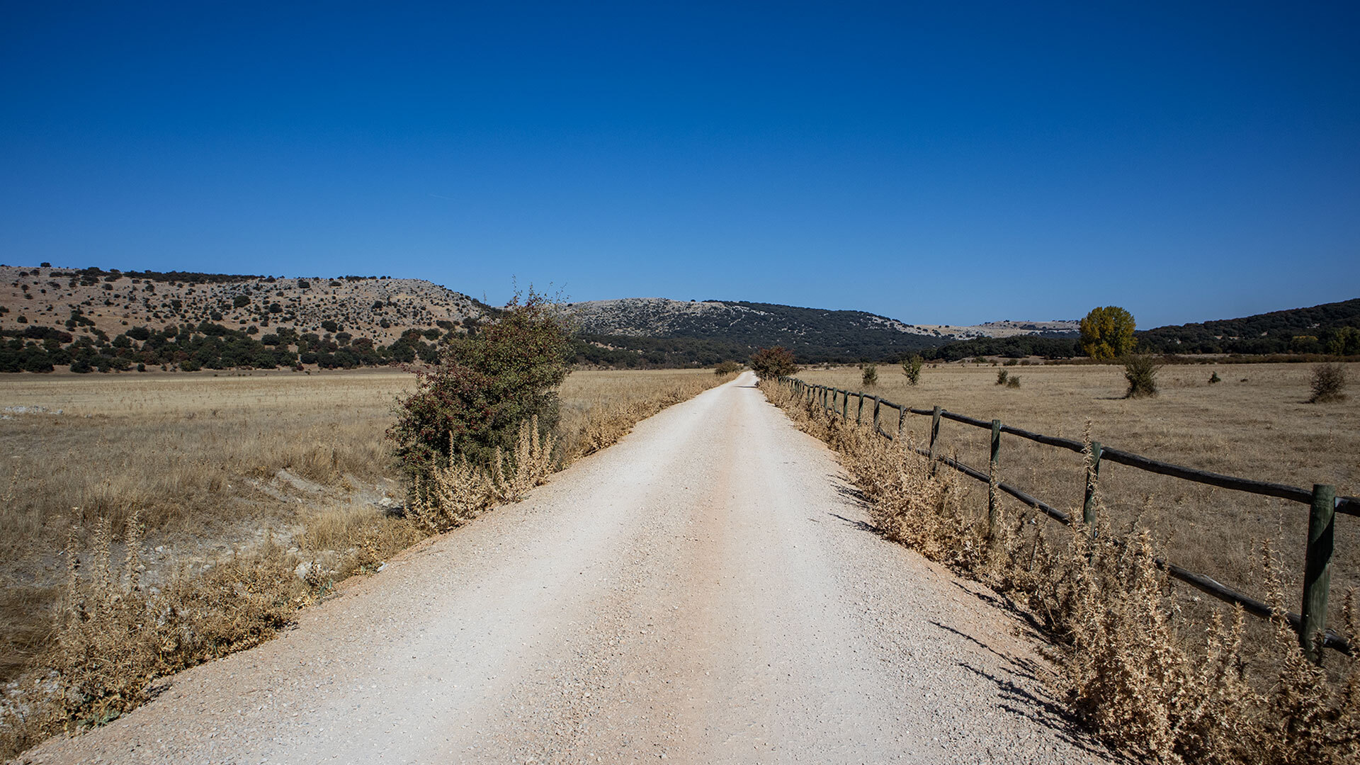 Camino de la Nava – Weg durch die Hochebene