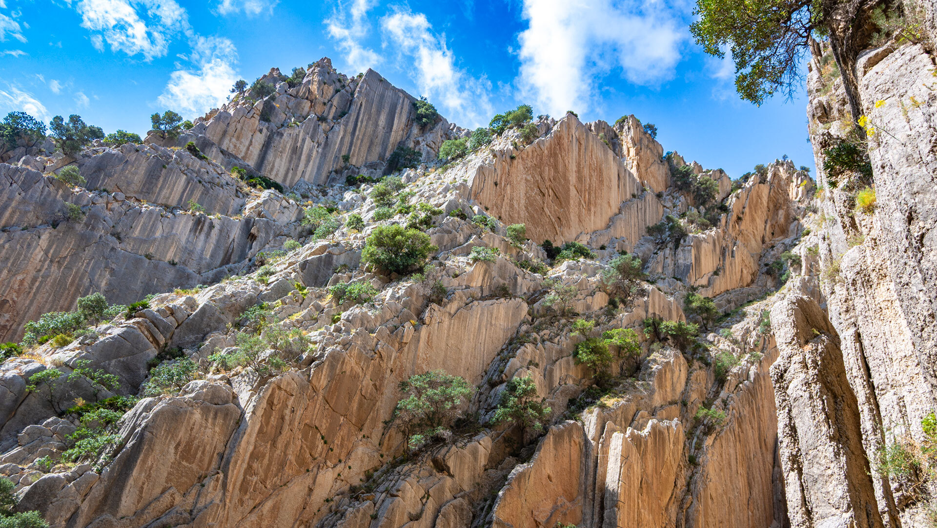 El Chorro – Felswände der Gaitanes-Schlucht