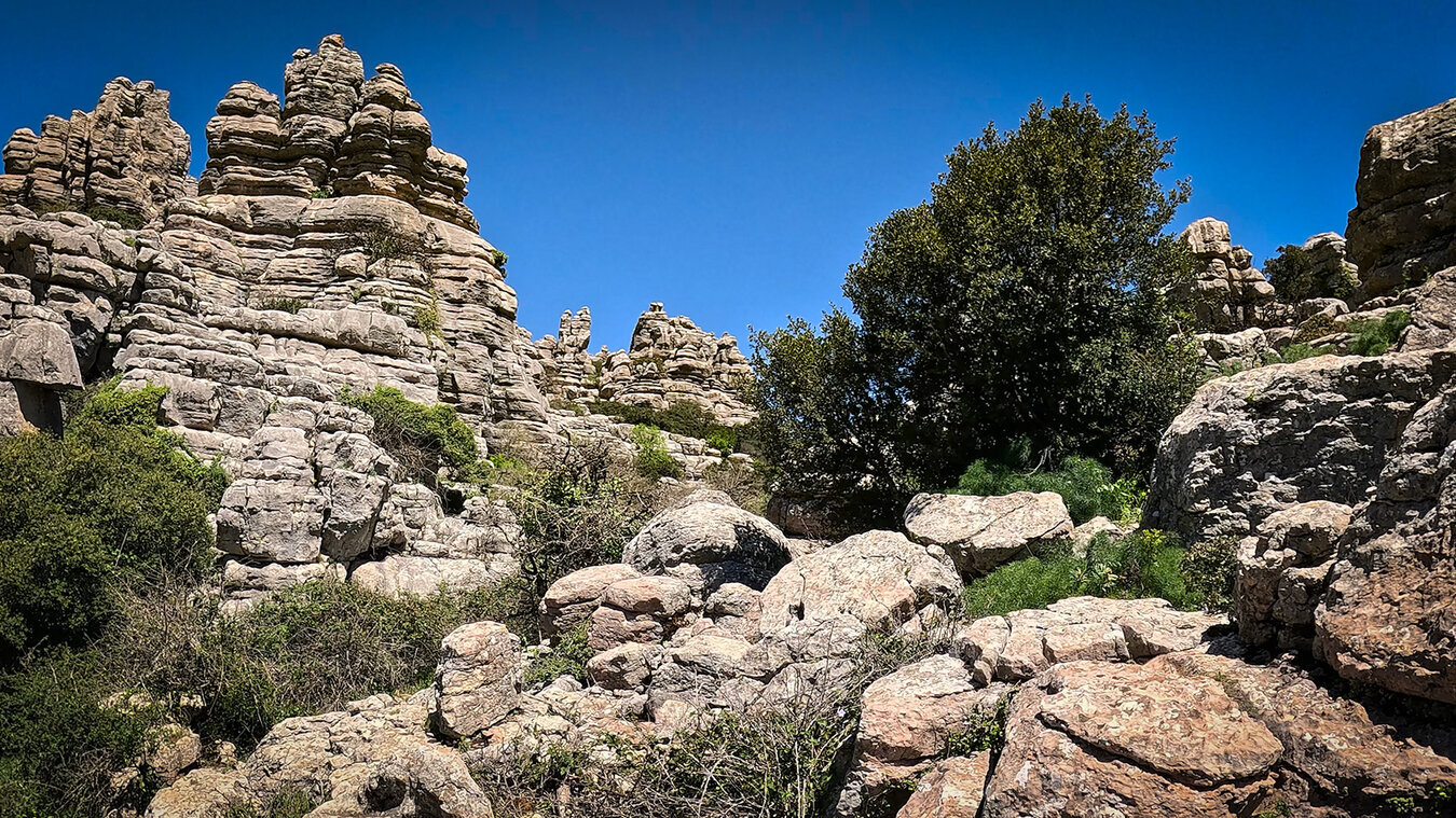 Die karstigen Felsformationen entstanden aus Kalksedimenten des Jurameers, gehoben und über 25 Millionen Jahre lang ausgewaschen