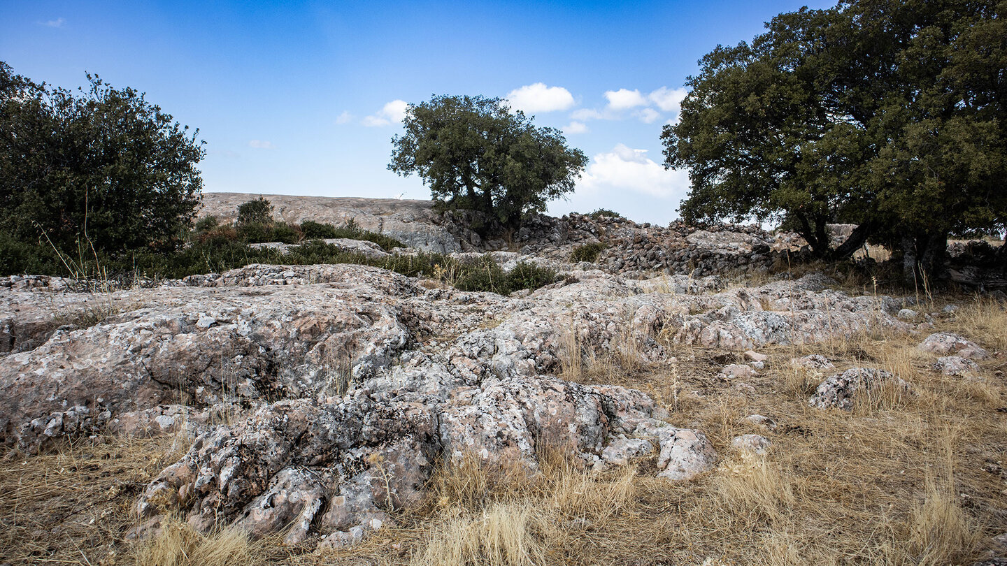 Im Karstgestein des Naturparks Sierras Subbéticas haben sich Fossilien aus 200 Millionen Jahren erhalten