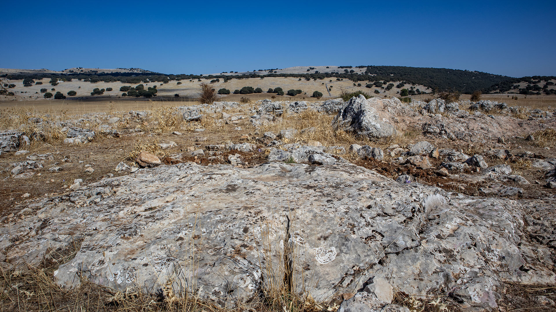 Karstformationen im Lapiaz de los Lanchares