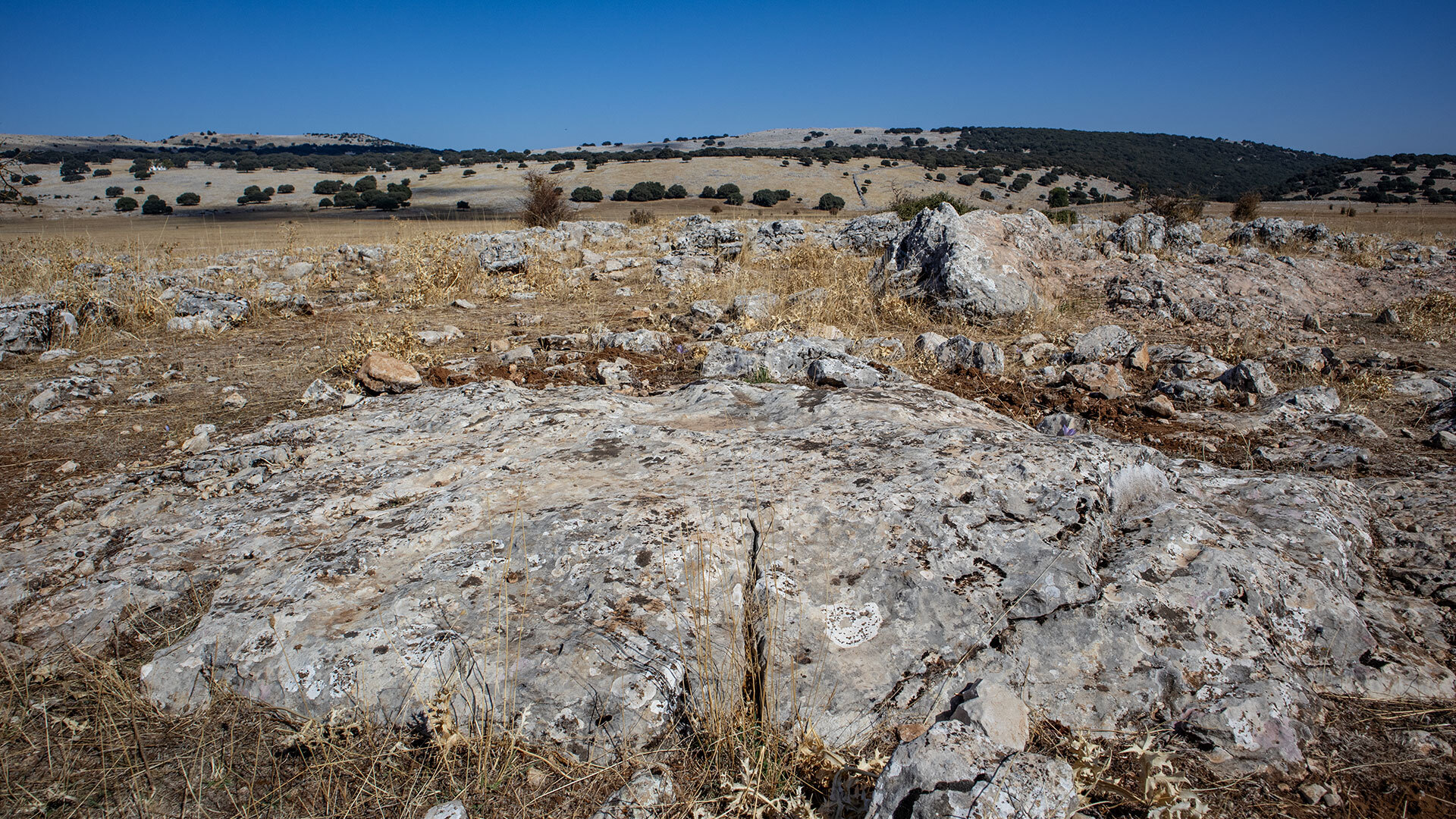 Karstlandschaft im Hochland La Nava