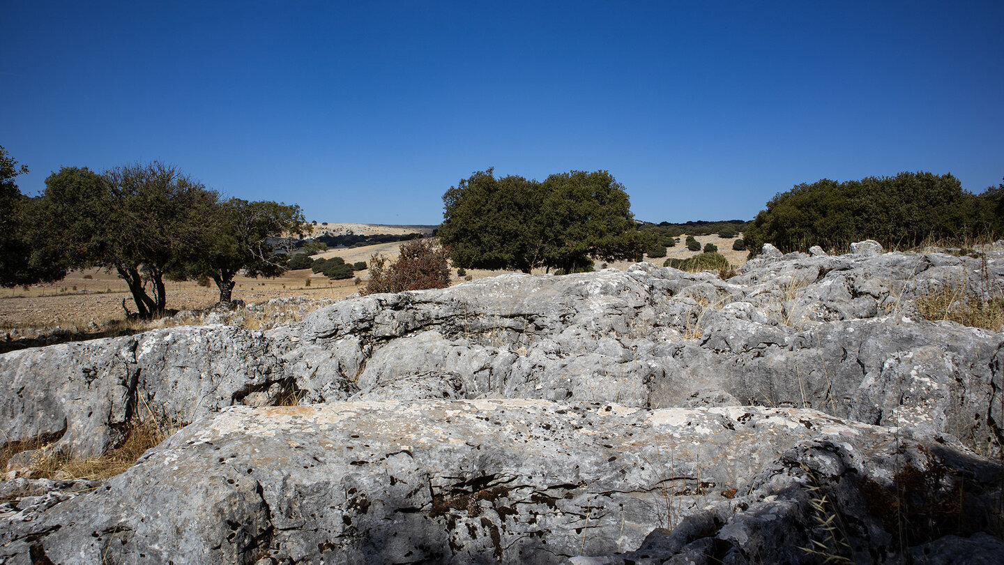 Karstfelsen auf der Hochebene Polje de la Nava — verwitterte Kalkstein-Strukturen an jedem Wegrand