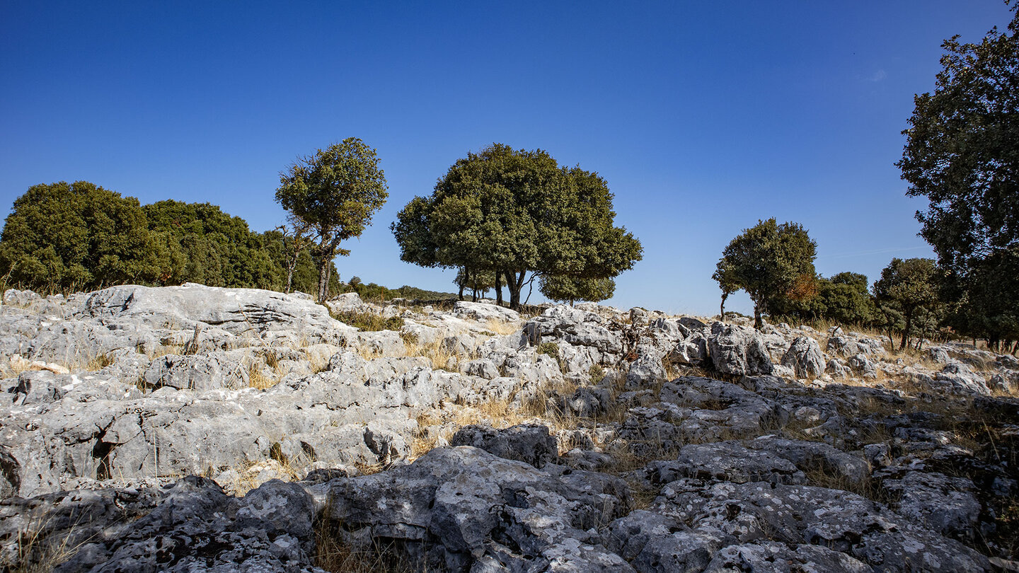 Karstlandschaft auf der Hochebene beim Río Bailón — das Wanderrevier der Sierras Subbéticas