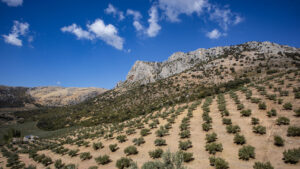 Die Karstlandschaft der Sierra Subbéticas