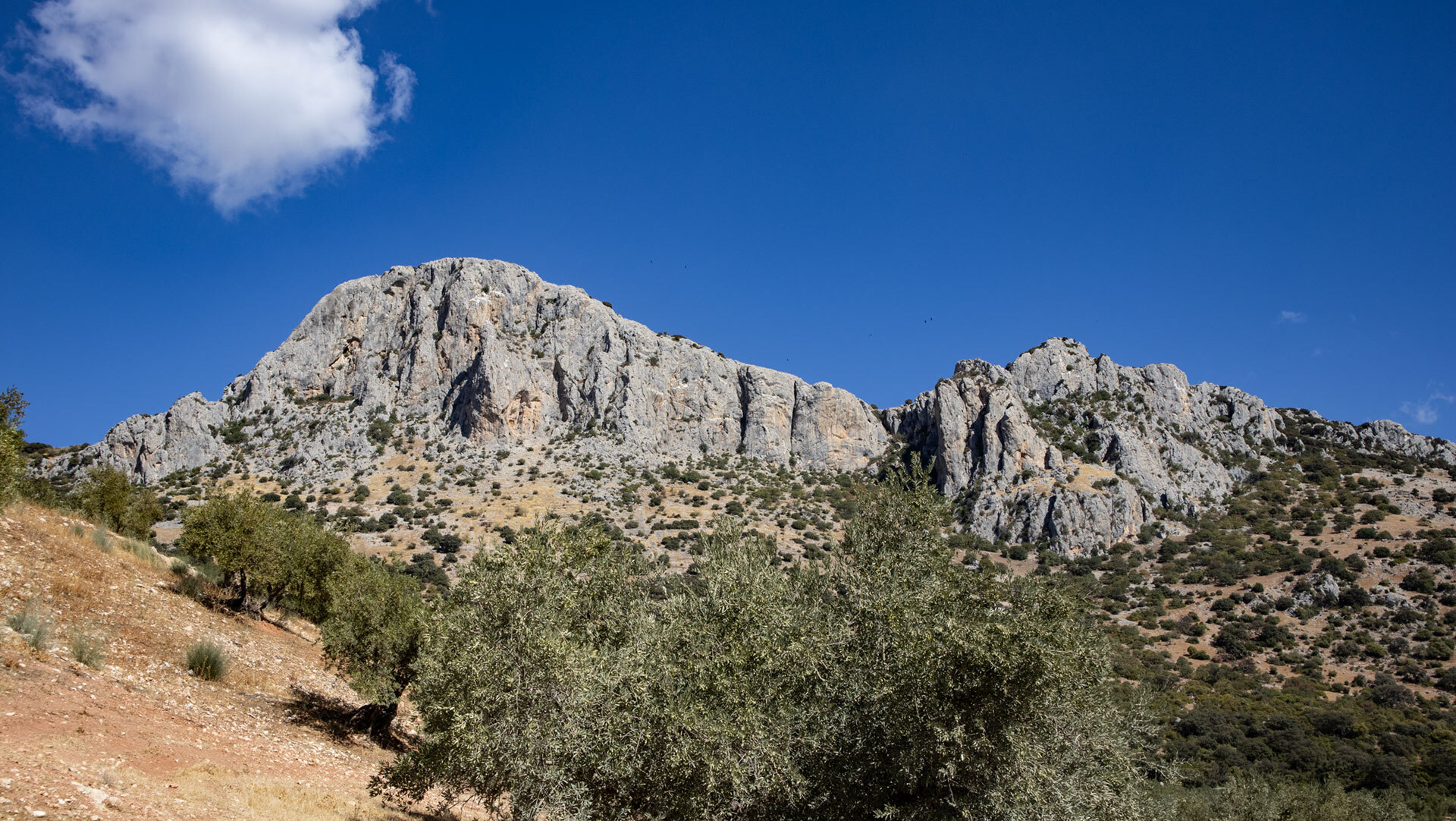 Die Steilwände des Lobatejo vom Sendero de las Buitreras – Lebensraum von Gänsegeiern und Falken