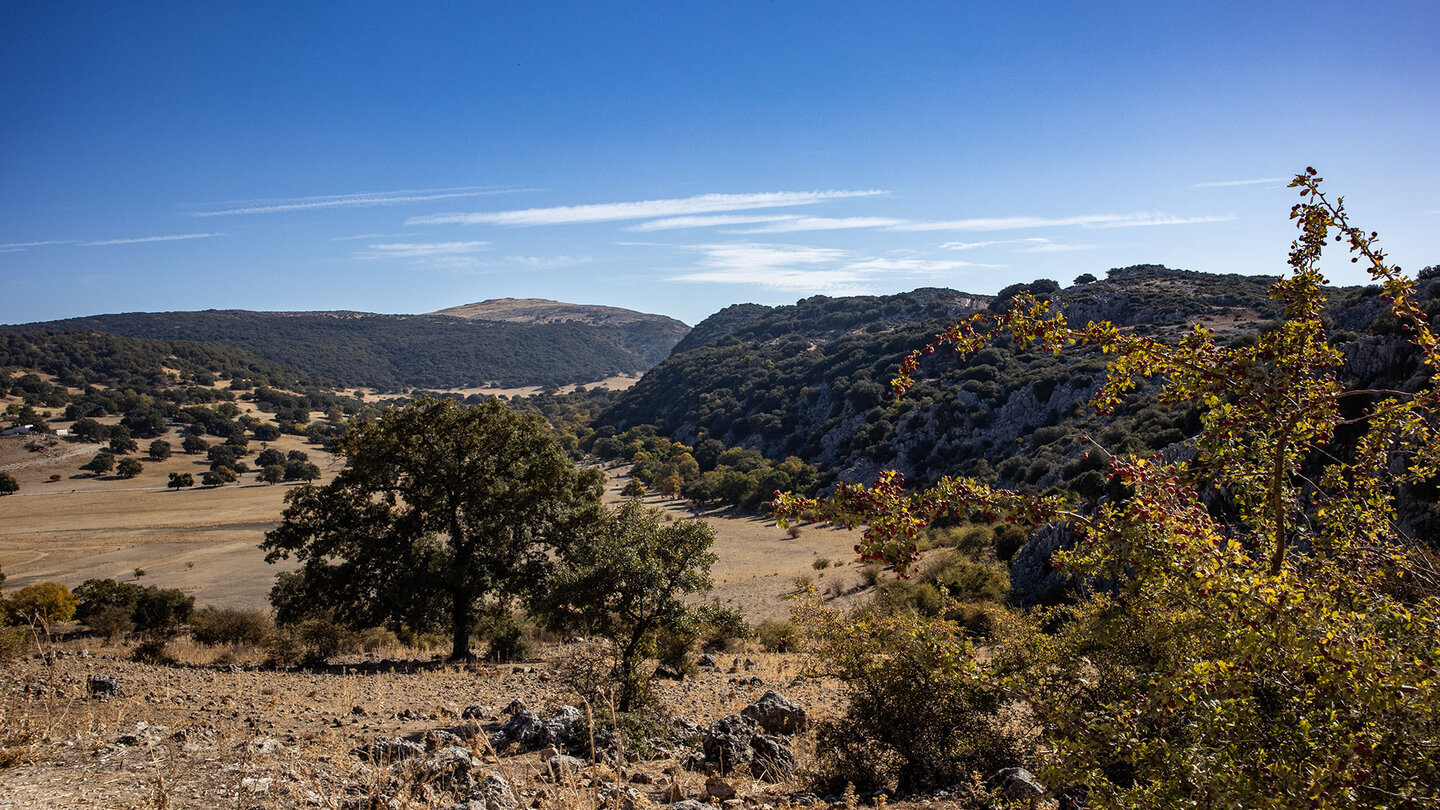Blick über die Polje de la Nava in der Sierra de Cabra — eine der größten Karst-Senken Andalusiens