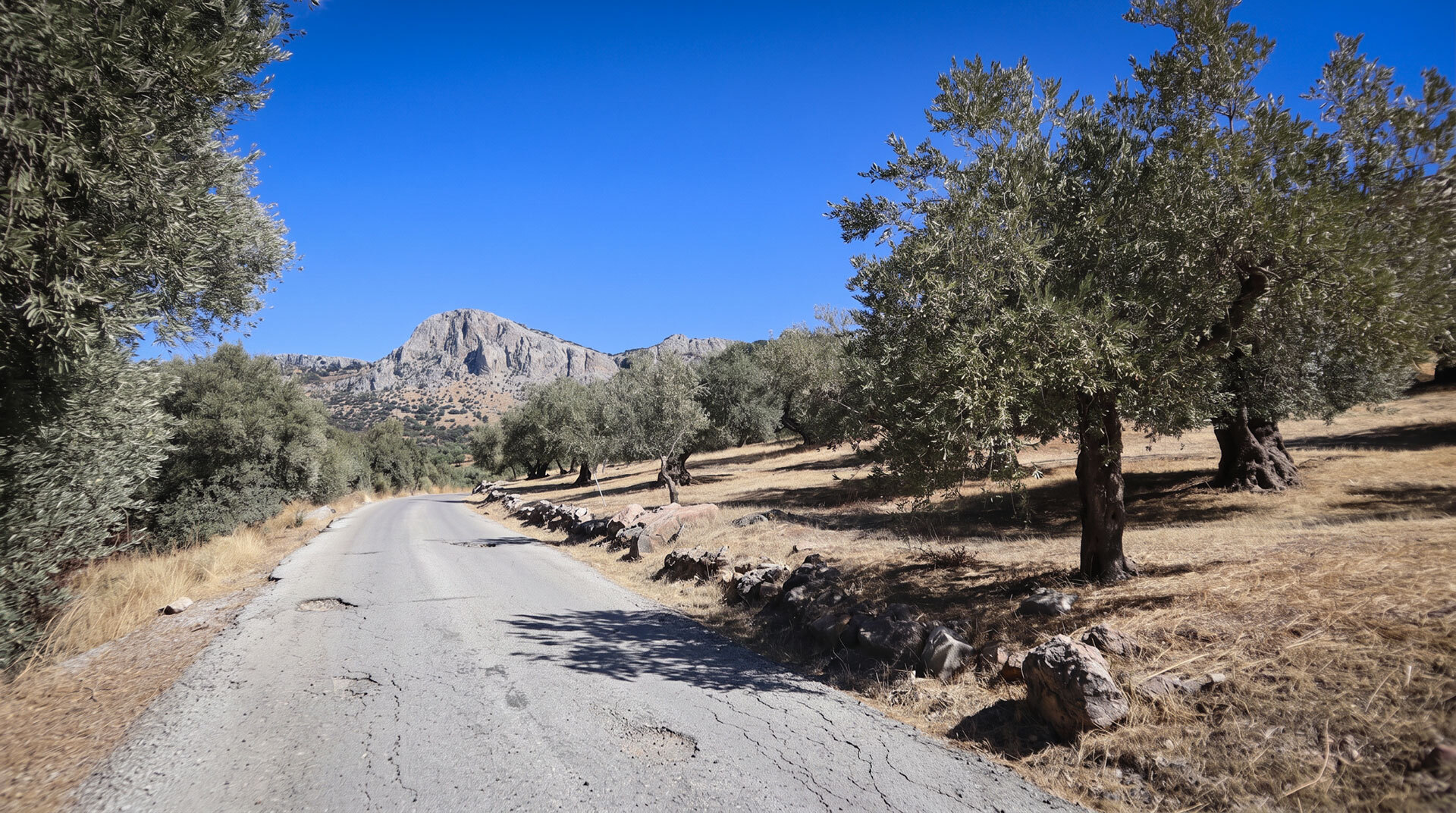 Ein Mietwagen ist für Andalusien-Reisende ins Hinterland faktisch Pflicht