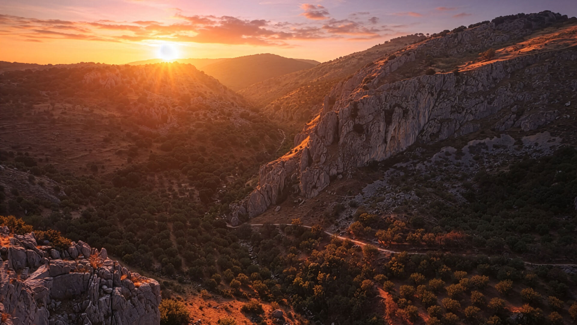 Olivenmeere und Karstlandschaft prägen die Sierras Subbéticas – wer hier reist, sollte die Anreise, Mietwagen und Unterkünfte gut vorbereiten