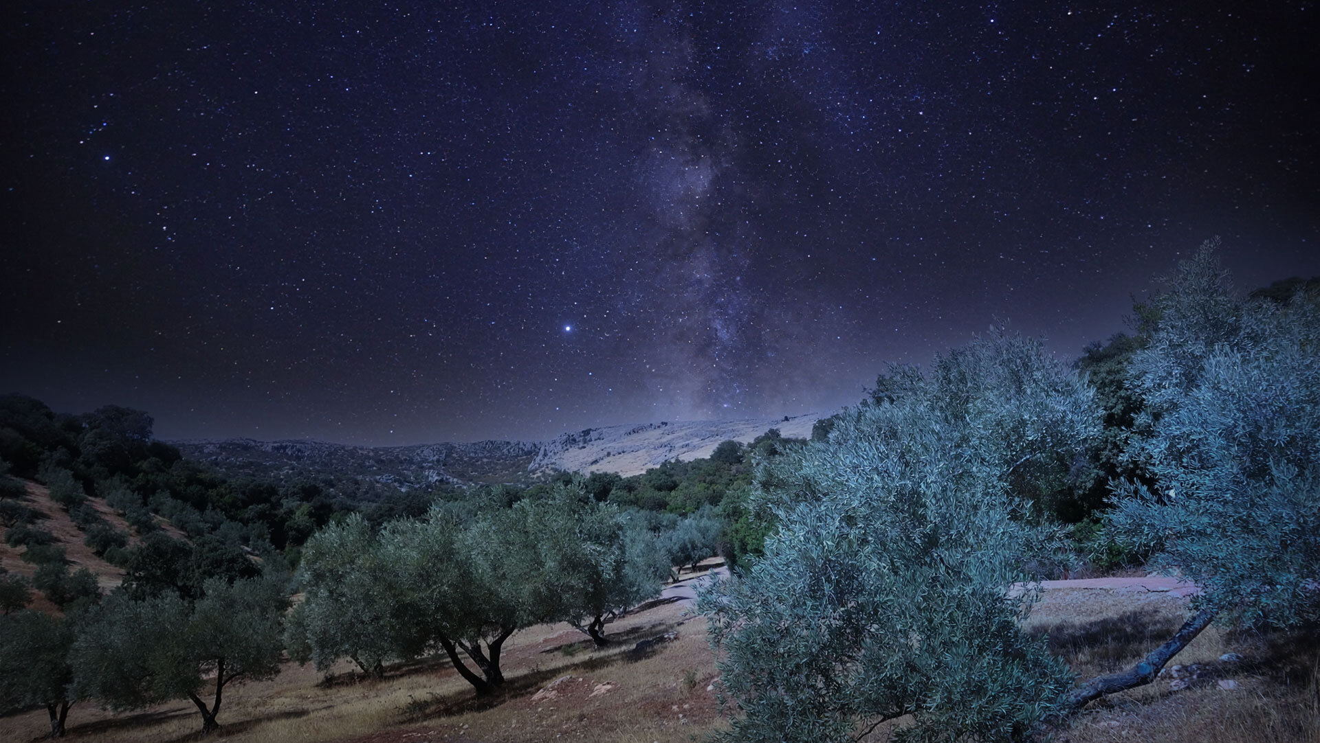 Glamping in Andalusien – Sterne über dem Olivenmeer