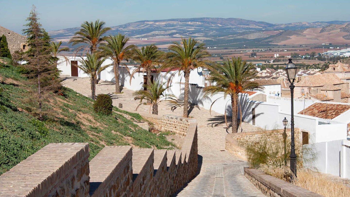 Das fruchtbare Umland von Antequera – die Vega von Antequera versorgt die Stadt seit der Römerzeit mit Getreide und Olivenöl