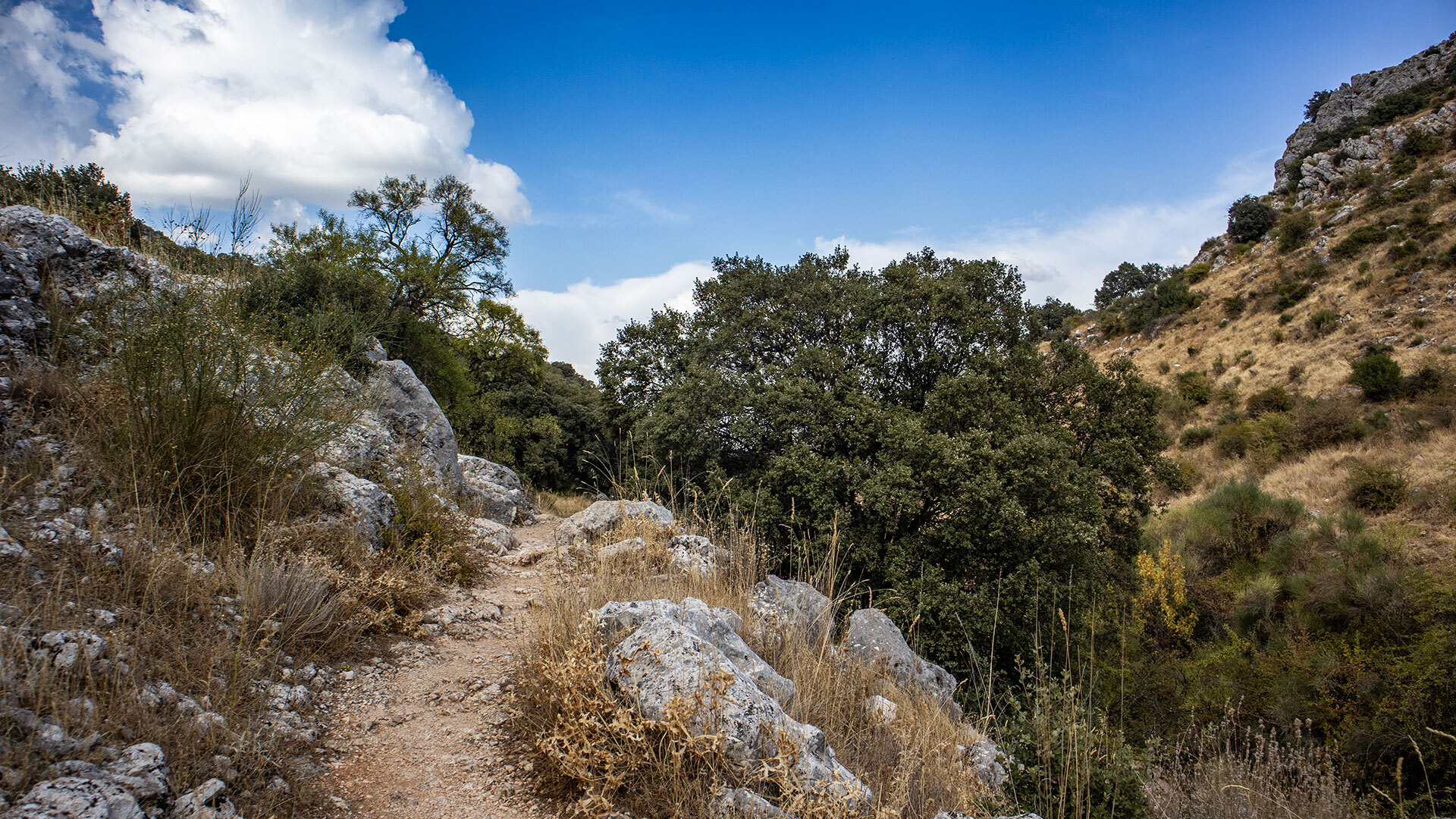Wanderweg durch die Schlucht des Río Bailón
