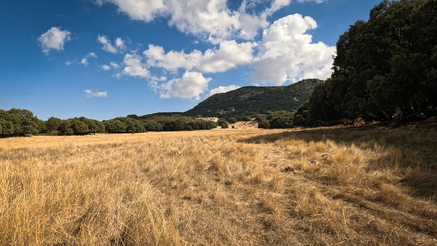 Wiesenlandschaft der Sierras Subbéticas — im Frühling blüht das Hochland